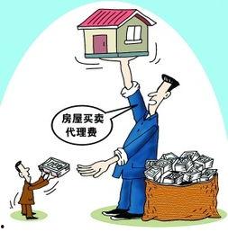 房产中介爆料的真实视频,视频曝光惊人真相! 第3张 房产中介爆料的真实视频,视频曝光惊人真相! 第3张